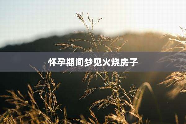 怀孕期间梦见火烧房子