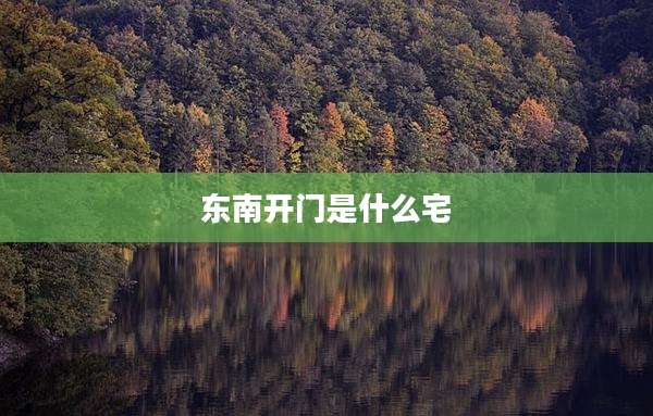 东南开门是什么宅
