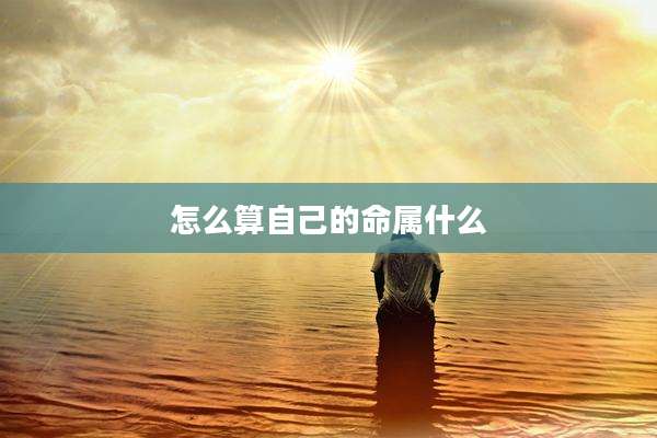 怎么算自己的命属什么