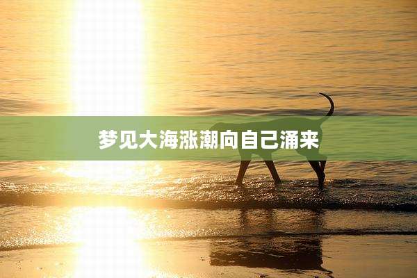 梦见大海涨潮向自己涌来