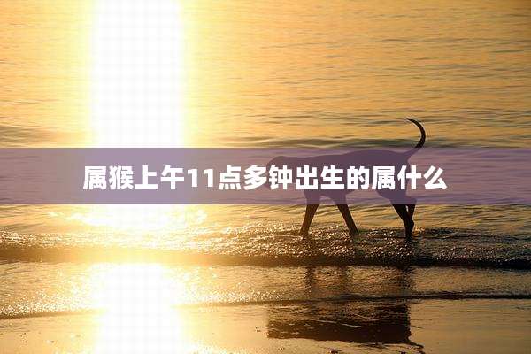 属猴上午11点多钟出生的属什么