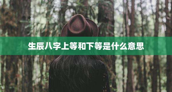 生辰八字上等和下等是什么意思