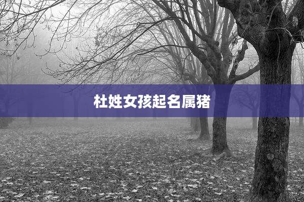 杜姓女孩起名属猪