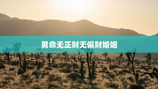男命无正财无偏财婚姻