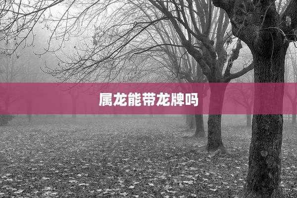 属龙能带龙牌吗
