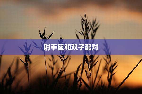 射手座和双子配对