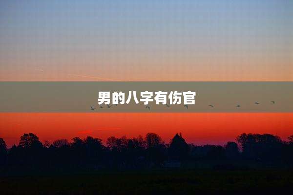 男的八字有伤官