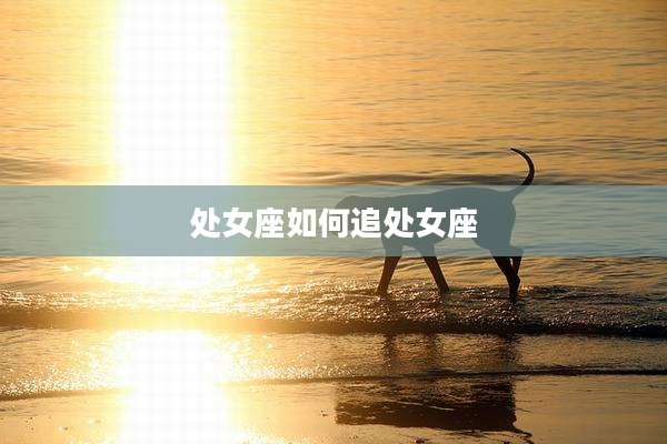 处女座如何追处女座