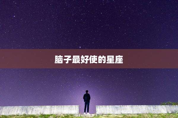 脑子最好使的星座
