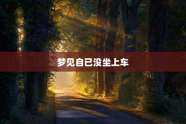 梦见自已没坐上车