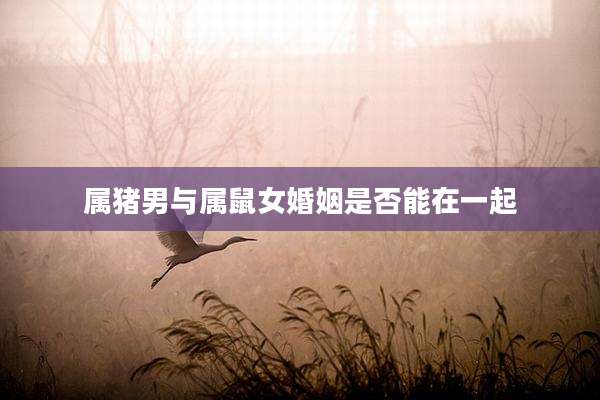 属猪男与属鼠女婚姻是否能在一起