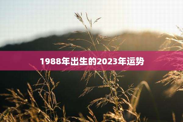 1988年出生的2023年运势