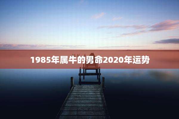 1985年属牛的男命2020年运势