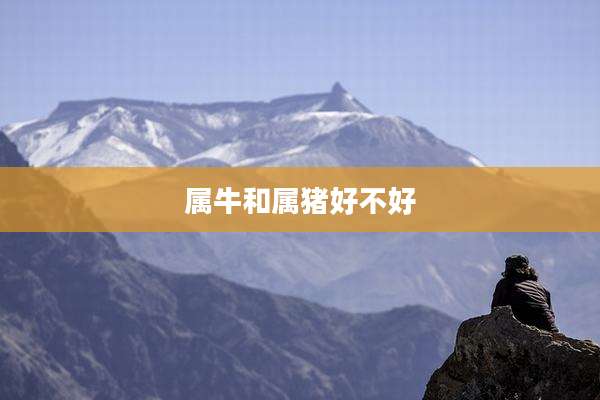 属牛和属猪好不好
