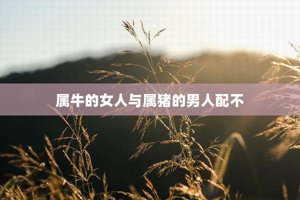属牛的女人与属猪的男人配不