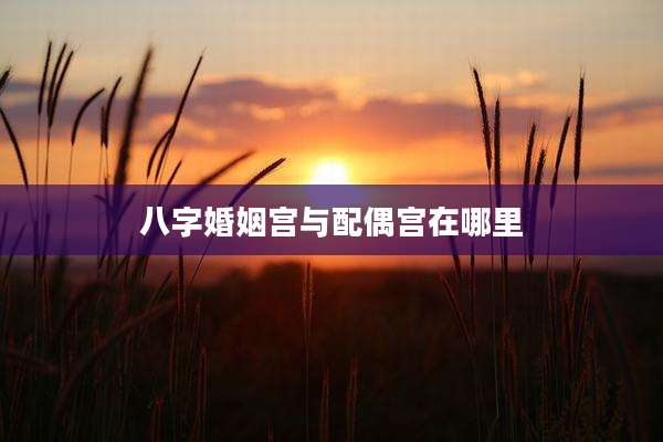 八字婚姻宫与配偶宫在哪里