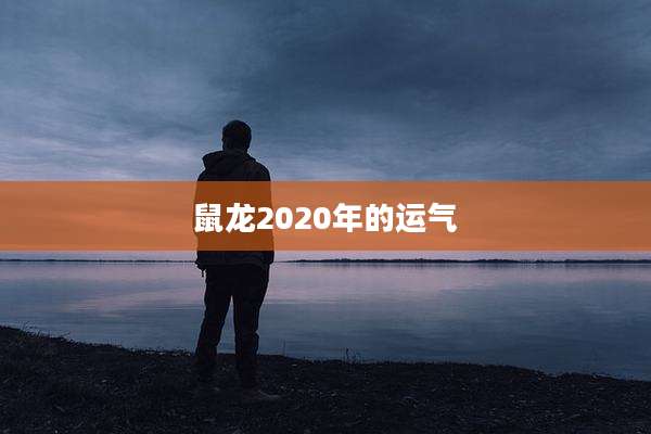 鼠龙2020年的运气