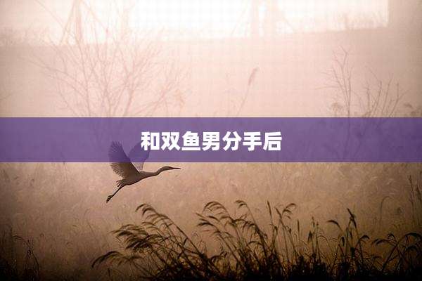 和双鱼男分手后