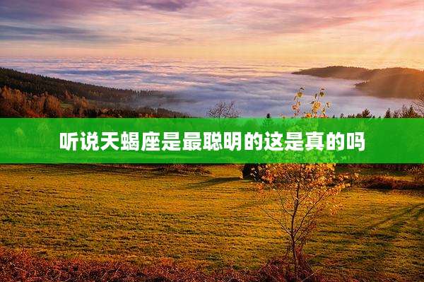 听说天蝎座是最聪明的这是真的吗