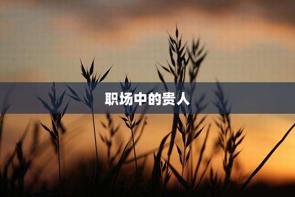 职场中的贵人