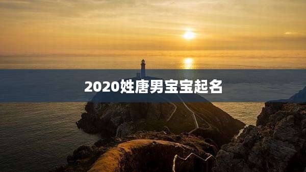 2020姓唐男宝宝起名