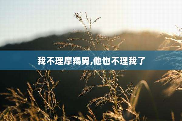我不理摩羯男,他也不理我了
