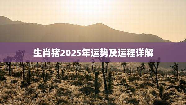 生肖猪2025年运势及运程详解