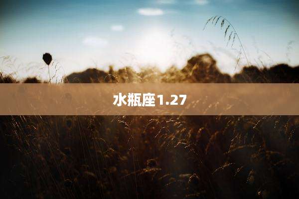 水瓶座1.27