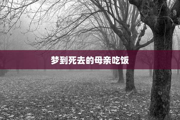 梦到死去的母亲吃饭