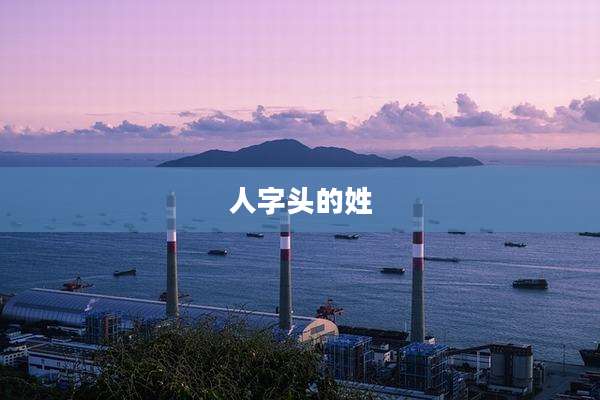 人字头的姓