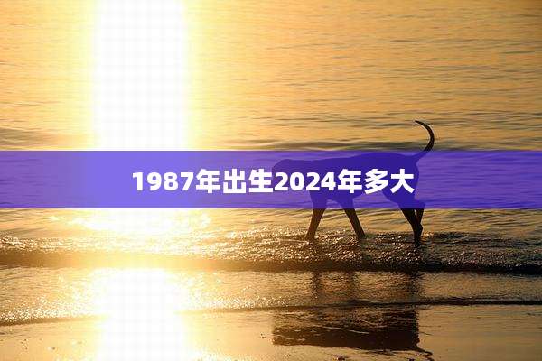 1987年出生2024年多大