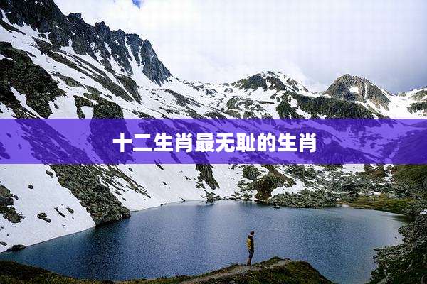 十二生肖最***的生肖