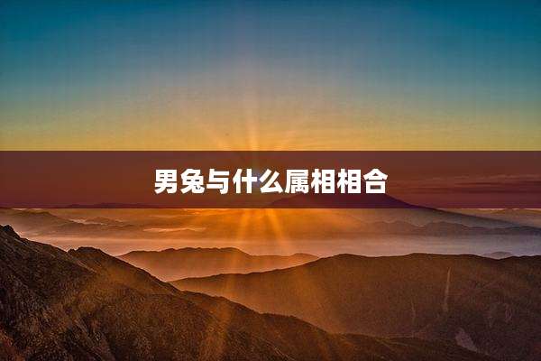 男兔与什么属相相合