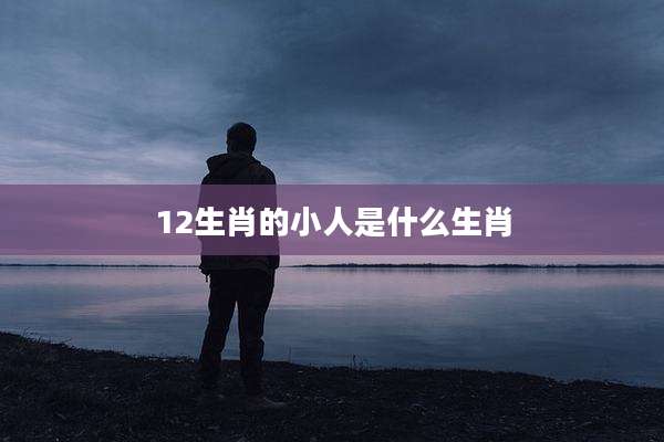 12生肖的小人是什么生肖