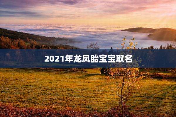 2021年龙凤胎宝宝取名
