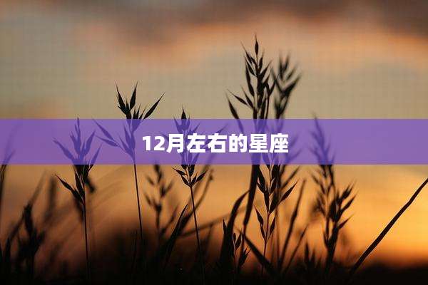 12月左右的星座