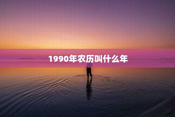 1990年农历叫什么年