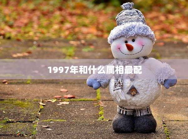 1997年和什么属相最配
