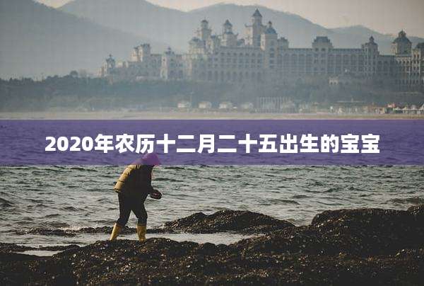 2020年农历十二月二十五出生的宝宝