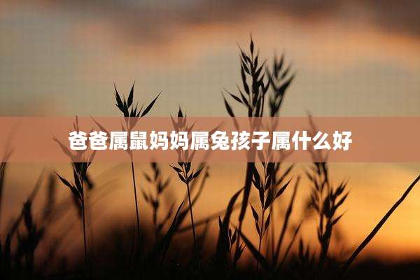 爸爸属鼠妈妈属兔孩子属什么好