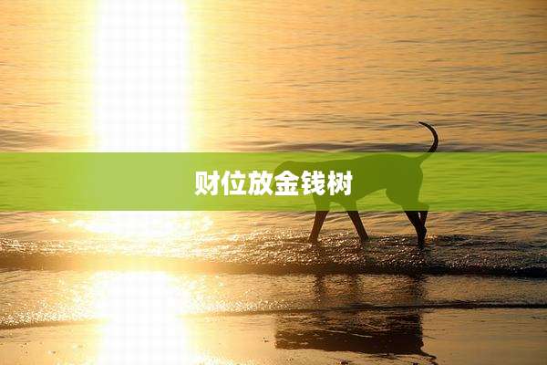 财位放金钱树
