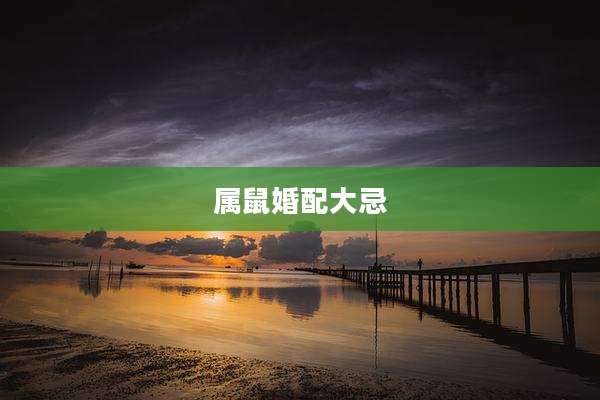 属鼠婚配大忌