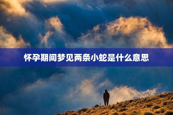 怀孕期间梦见两条小蛇是什么意思
