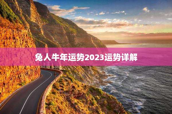 兔人牛年运势2023运势详解