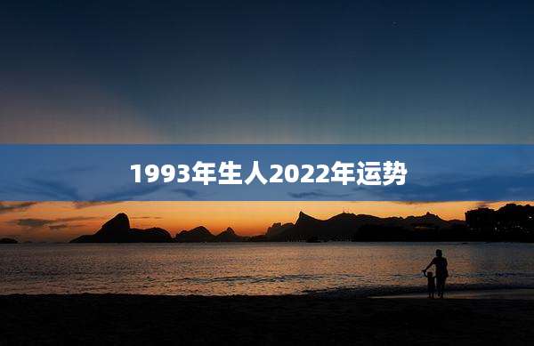 1993年生人2022年运势