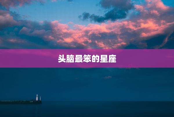 头脑最笨的星座