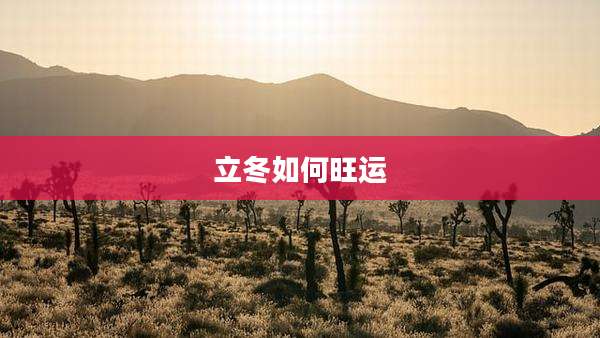 立冬如何旺运