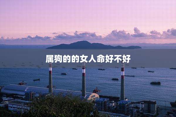 属狗的的女人命好不好