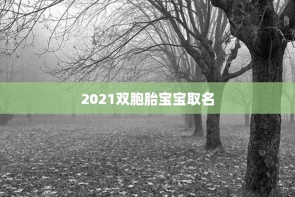 2021双胞胎宝宝取名