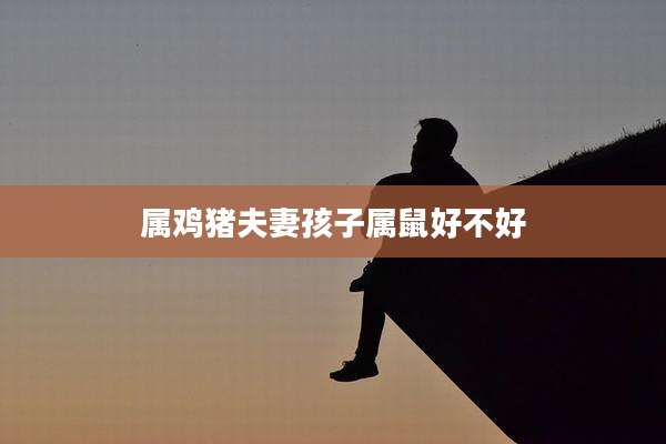 属鸡猪夫妻孩子属鼠好不好